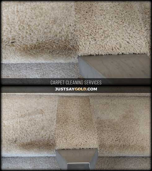 assets/images/causes/slider/site-carpet-cleaning-stairs-west-sacramento-ca-snapdragon