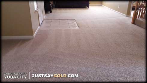 Gallery Carpet Cleaning Gold Coast Flooring