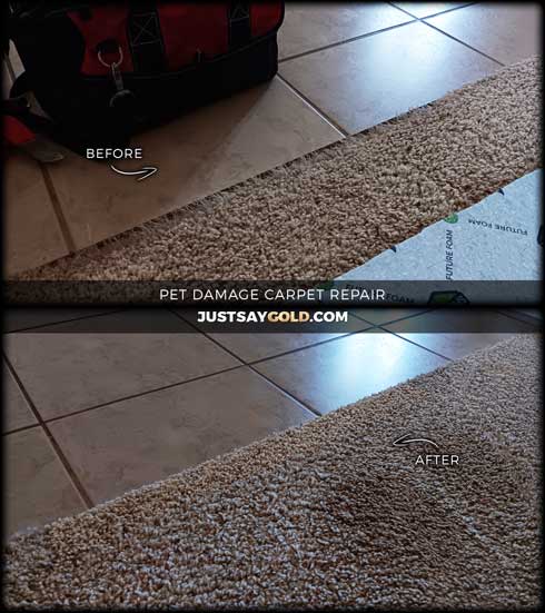 assets/images/causes/slider/site-carpet-repair-near-me-roseville-ca-moondancer-circle