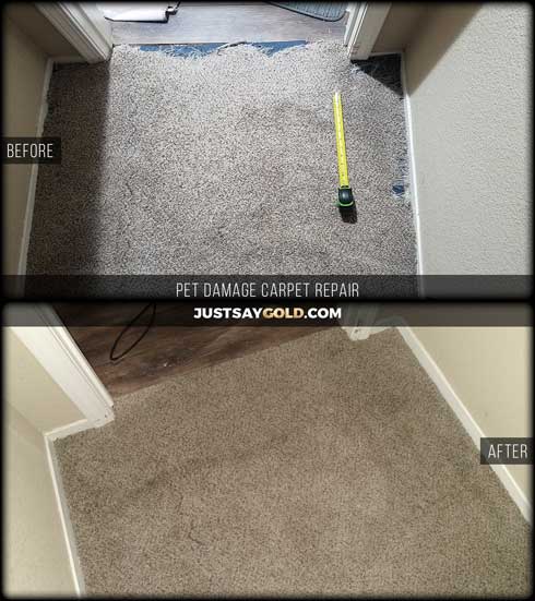 assets/images/causes/slider/site-carpet-repair-pet-damage-elk-grove-ca-framington-way