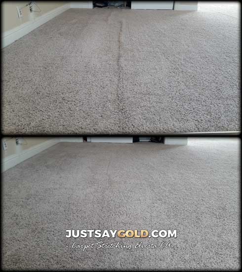 Benefits Of Carpet Repair And Restretching Services