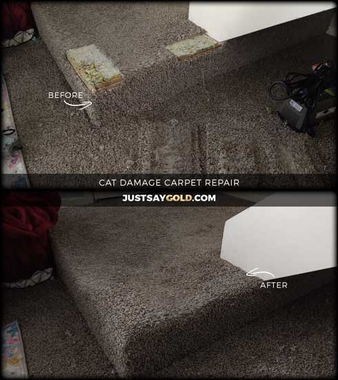 assets/images/causes/slider/site-cat-damage-carpet-repair-in-citrus-heights-ca-greenback-lane