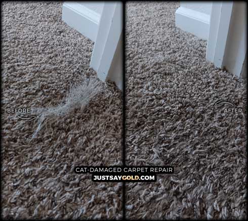 Cat Damaged Carpet Repair In Folsom CA