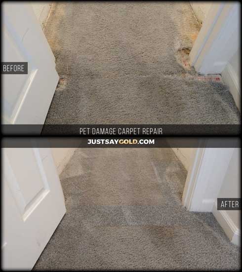 assets/images/causes/slider/site-cat-damaged-carpet-repair-rancho-cordova-ca-borderlands-drive