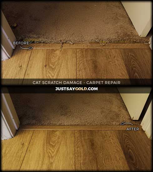 assets/images/causes/slider/site-cat-scratch-pet-damage-carpet-repair-in-citrus-heights-ca-windsor-lane