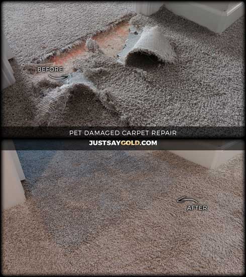 assets/images/causes/slider/site-dog-damaged-carpet-fixing-company-in-lincoln-ca-lexington-court