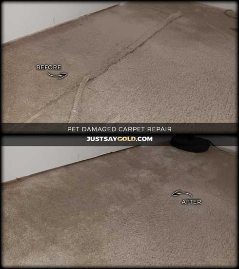 Pet Damaged Carpet Repair In Plumas Lake
