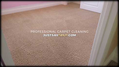 assets/images/causes/slider/site-how-to-clean-carpet-in-rancho-cordova-ca-opal-ridge-way