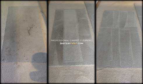 assets/images/causes/slider/site-local-carpet-cleaning-company-in-carmichael-ca-gold-coast-flooring