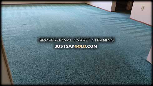 Local Carpet Cleaning Company In Rosemont