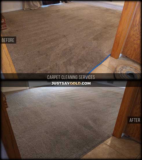 assets/images/causes/slider/site-local-professional-carpet-cleaning-carmichael-ca-point-prim-court