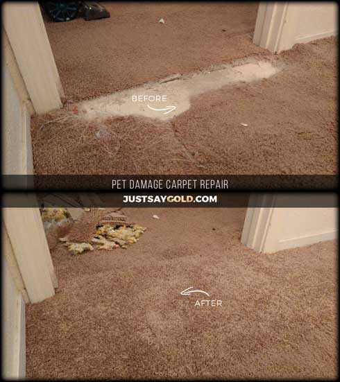 assets/images/causes/slider/site-pet-damage-carpet-repair-at-doorway-sacramento-ca-gateway-oaks-drive