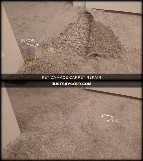 assets/images/causes/slider/site-pet-damage-carpet-repair-fix-in-elk-grove-ca-summerton-circle