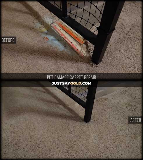 assets/images/causes/slider/site-pet-damage-carpet-repair-fix-near-folsom-ca-big-valley-road