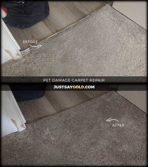 assets/images/causes/slider/site-pet-damage-carpet-repair-in-citrus-heights-ca-fair-oaks-blvd