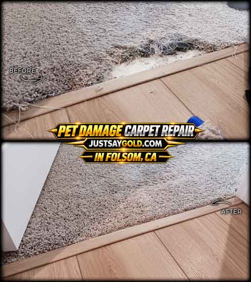 Pet-Damaged Carpet Repair In Folsom CA