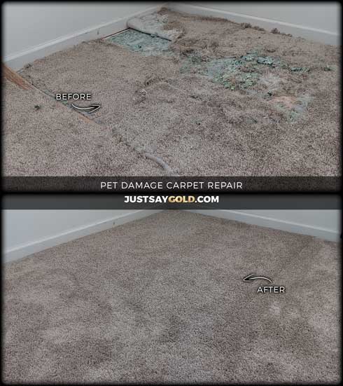 assets/images/causes/slider/site-pet-damage-carpet-repair-in-plumas-lake-bacall-court