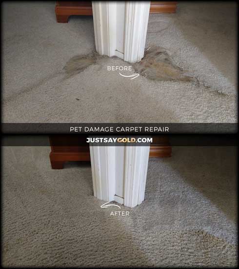 assets/images/causes/slider/site-pet-damage-carpet-repair-service-near-folsom-ca-thorndike-way