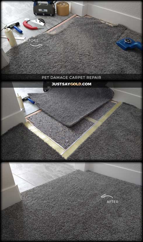 assets/images/causes/slider/site-pet-damage-carpet-repair-services-est-sacramento-ca-crane-lane
