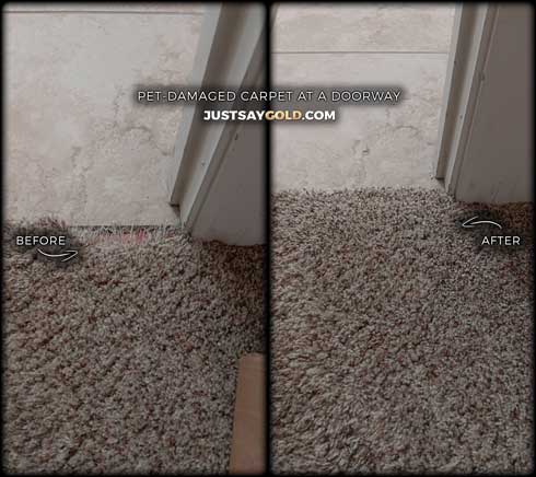 Pet Damaged Carpet Repair At A Doorway In Folsom CA