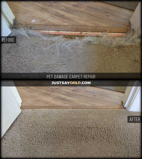 assets/images/causes/slider/site-pet-damaged-carpet-repair-at-doorway-citrus-heights-ca-corkoaks-way