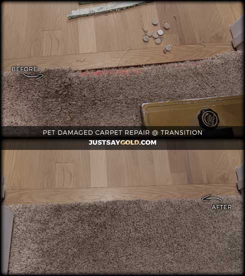 assets/images/causes/slider/site-pet-damaged-carpet-repair-at-transition-in-granite-bay-ca-leibinger-lane