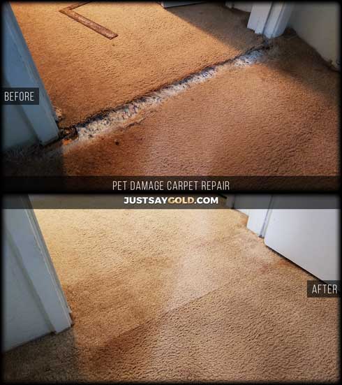 assets/images/causes/slider/site-pet-damaged-carpet-repair-company-citrus-heights-ca-celine-drive