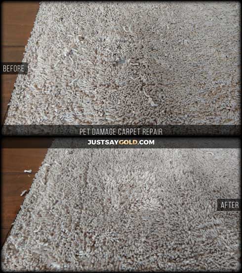 assets/images/causes/slider/site-pet-damaged-carpet-repair-cost-prices-folsom-ca-higgins-street