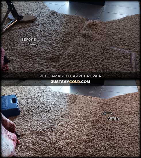 Pet-Damaged Carpet Repair Fix In Galt CA