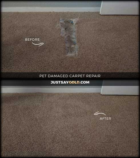 assets/images/causes/slider/site-pet-damaged-carpet-repair-fix-near-citrus-heights-ca-canelo-hills-drive