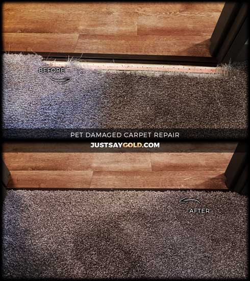 assets/images/causes/slider/site-pet-damaged-carpet-repair-in-davis-ca-orchard-park-circle