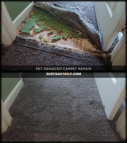 assets/images/causes/slider/site-pet-damaged-carpet-repair-in-elk-grove-mandalay-way