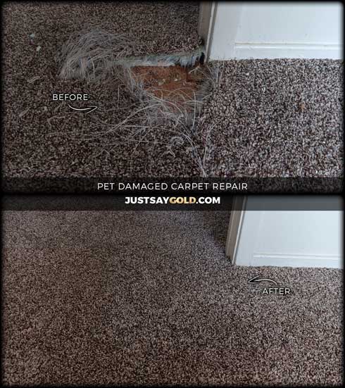 assets/images/causes/slider/site-pet-damaged-carpet-repair-in-fair-oaks-ca-las-encinitas-drive