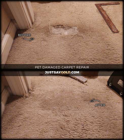 assets/images/causes/slider/site-pet-damaged-carpet-repair-in-folsom-ca-stillwood-court