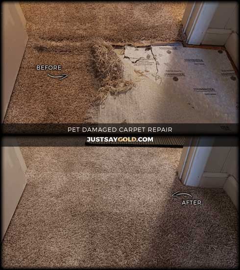 assets/images/causes/slider/site-pet-damaged-carpet-repair-in-lincoln-ca-1st-street