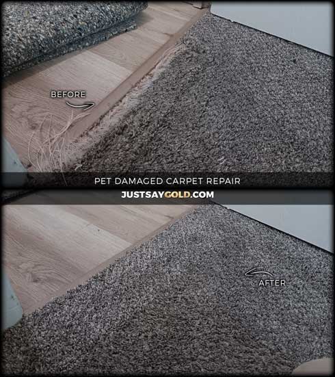 assets/images/causes/slider/site-pet-damaged-carpet-repair-in-rancho-cordova-ca-hunt-drive