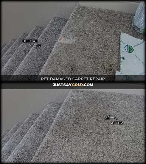 assets/images/causes/slider/site-pet-damaged-carpet-repair-in-rancho-cordova-ca-rocco-place