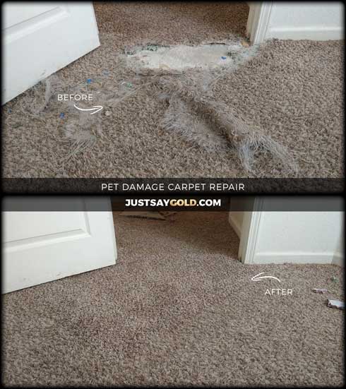 assets/images/causes/slider/site-pet-damaged-carpet-repair-in-sacramento-ca