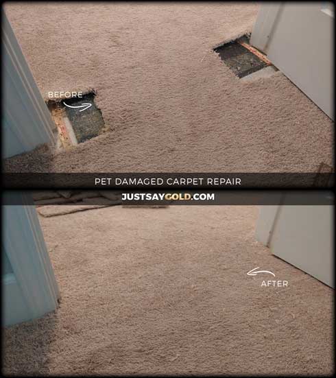 assets/images/causes/slider/site-pet-damaged-carpet-repair-in-west-roseville-ca-maddux-way