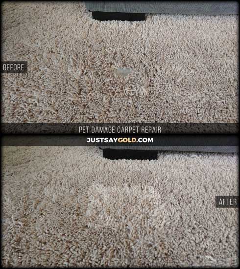 assets/images/causes/slider/site-pet-damaged-carpet-repair-near-me-folsom-ca-higgins-street