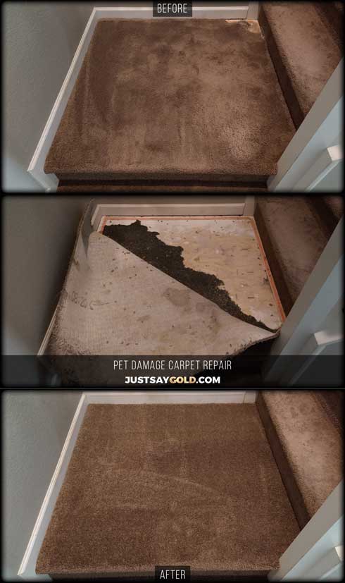 assets/images/causes/slider/site-pet-damaged-carpet-repair-on-stairs-sacramento-ca-cheverny-way