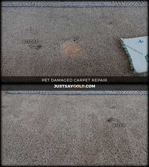 assets/images/causes/slider/site-pet-damaged-repair-near-rancho-cordova-ca-rocco-place