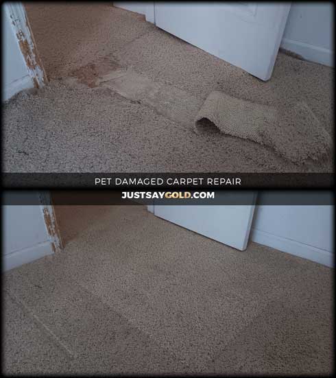 assets/images/causes/slider/site-pet-dmaged-carpet-repair-in-west-sacramento-pyramid-place