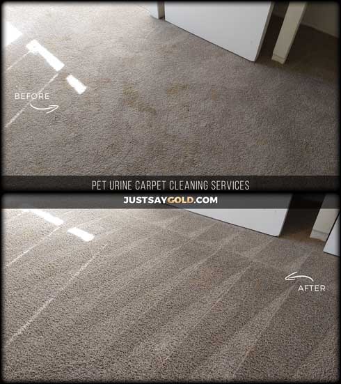 assets/images/causes/slider/site-pet-urine-carpet-cleaning-in-newcastle-ca-rattlesnake-road