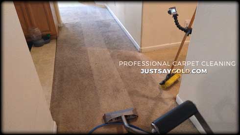 assets/images/causes/slider/site-professional-carpet-cleaning-company-in-natomas-ca-muskrat-way
