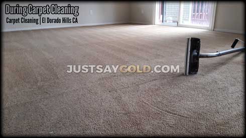 The Best Carpet Cleaning Company El Dorado Hills Ca 5 Star Rated