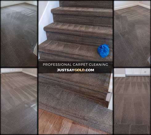 Why Blackstone Homeowners Choose Gold Coast For Carpet Cleaning