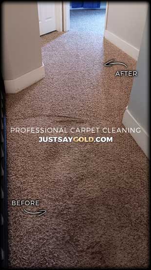 assets/images/causes/slider/site-professional-carpet-cleaning-in-elk-grove-ca-ryland-court