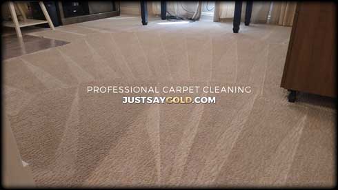 assets/images/causes/slider/site-professional-carpet-cleaning-in-folsom-ca-carmody-circle