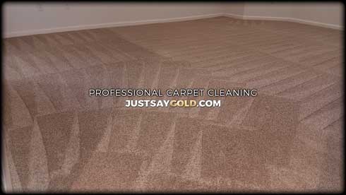 Professional Carpet Cleaning Services In Sun City Lincoln CA